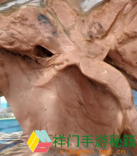 正在阅览 华为手机怎样晋级鸿蒙体系 华为手机晋级鸿蒙体系教程