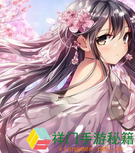 斗罗大陆樱花弹幕：在线免费观看，您预备好了吗？