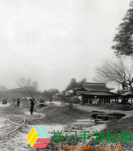 53岁大妈为安在山坡上从事皮肉生意？讨论其背面深层原因