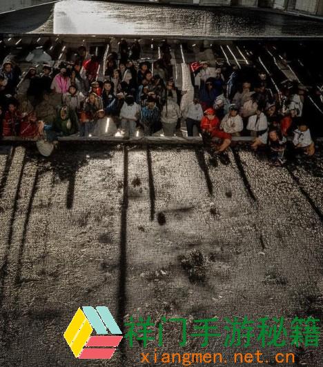 魅影春雨最新版别更新内容有哪些？全面解析新功用与改进