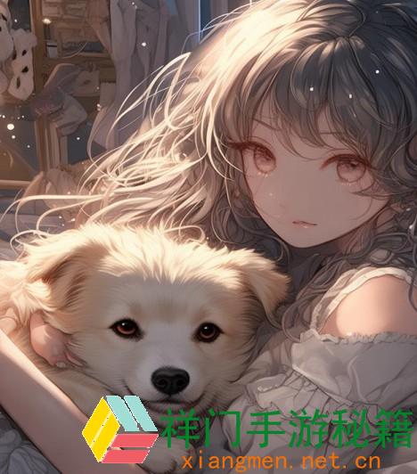 老公不在家狗狗的东西能否运用：让你的爱犬感到温馨与安心