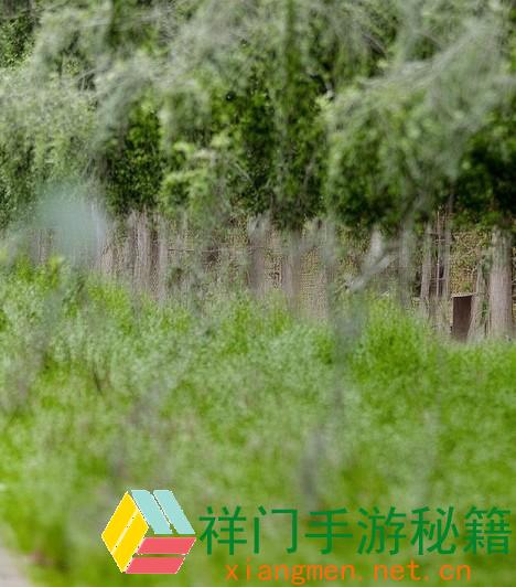 顺丰与我国供销集团签定战略协作结构协议，将发力下沉商场