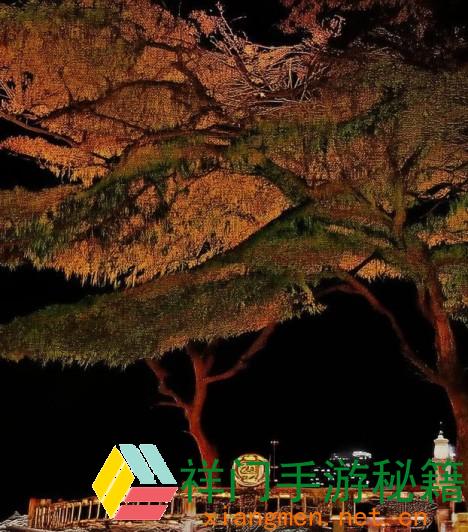 魅影直播牢靠吗值得买吗？网友对这款直播渠道的实在点评是什么？