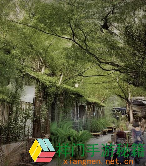 桃花洞口已是溪流潺潺的深意解析：天然与心灵的完美结合
