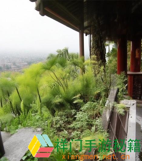 畅玩太鼓达人音乐包下载攻略尽享节奏与趣味的完美体会