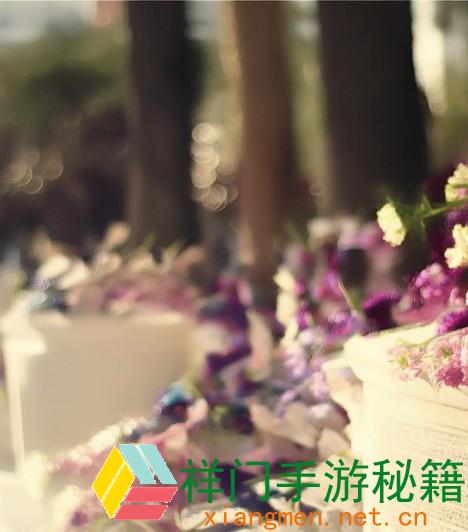 小狗时出血的原因及处理办法解析
