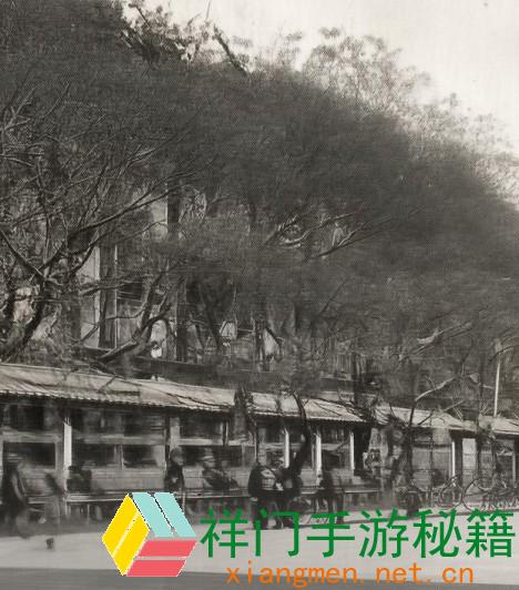 鲁大师文娱全景揭秘 玩转游戏国际的隐秘与趣味