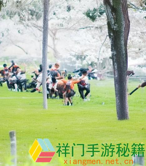 暗器组成耗费—暗器组成耗费揭秘进步战役力的战略与技巧剖析