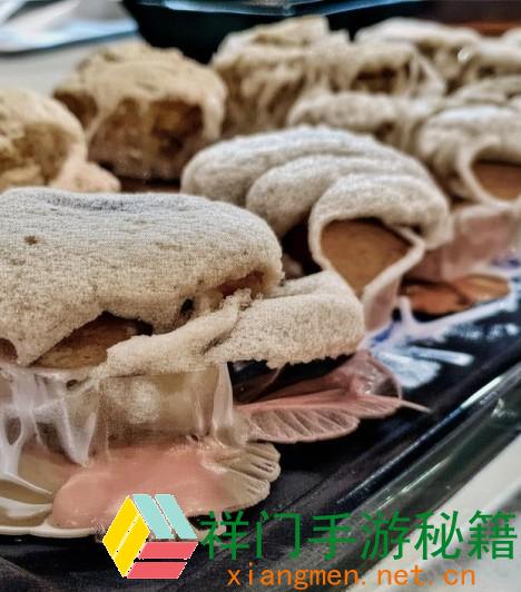 小东西几天不见水竟能敏捷康复生机的美妙进程揭秘