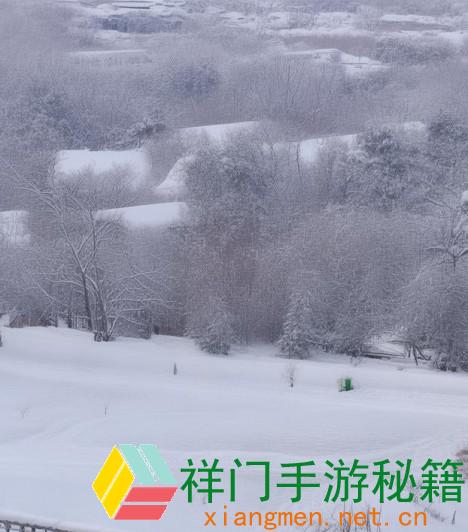 地下城征战者加点,地下城征战者加点攻略全解析助你轻松进步战力与技巧