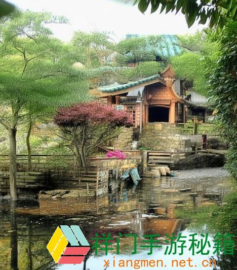 蜜桃粉满天星价格揭秘 让你轻松把握市场动态与购买主张