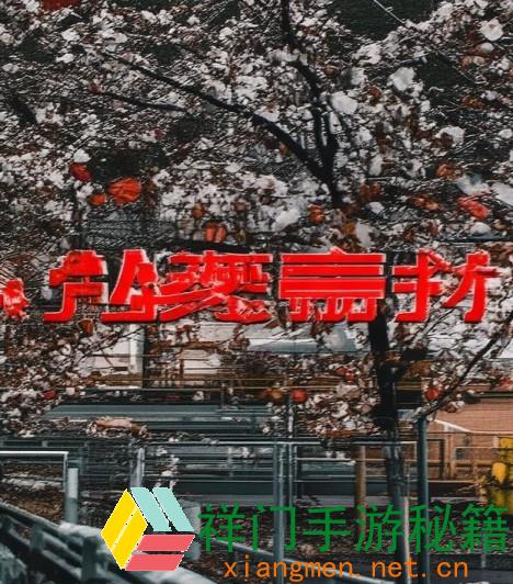 桃花妖靠jy提高修为的小说学校;末日需求劝慰整个小队的女主小说