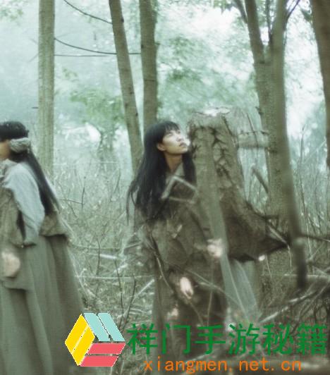鹿丸的老婆,鹿丸的妻子：才智与温顺交错的忍者人生探秘