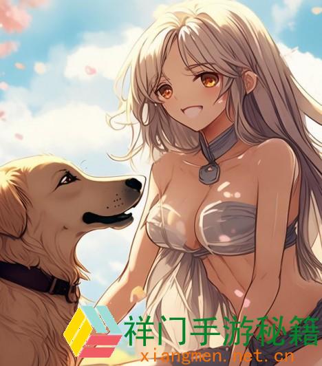 狗狗与人类的完美调配秘笈讨论怎么挑选最适宜的犬种
