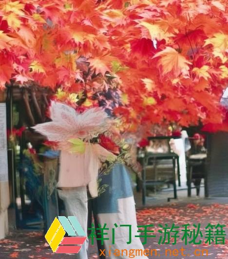 澳门怎么做公交车、澳门公交车出行攻略怎么高效快捷地乘坐公共交通体系